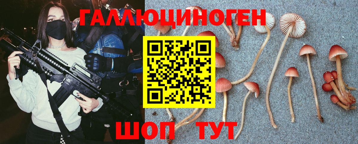Тосно  Псилоцибиновые грибы мухоморы  где купить наркотик  Вход с VPN 