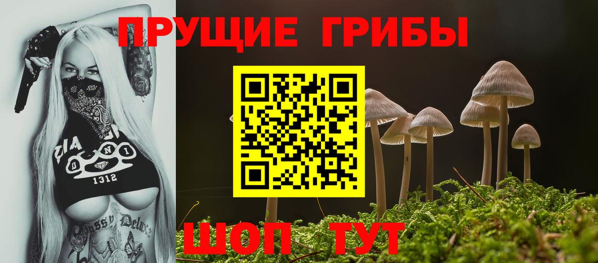 Галлюциногенные грибы ЛСД Тосно